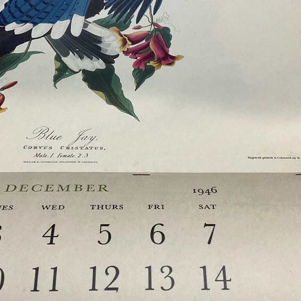 Blue and White Bird Art Calendar1946
